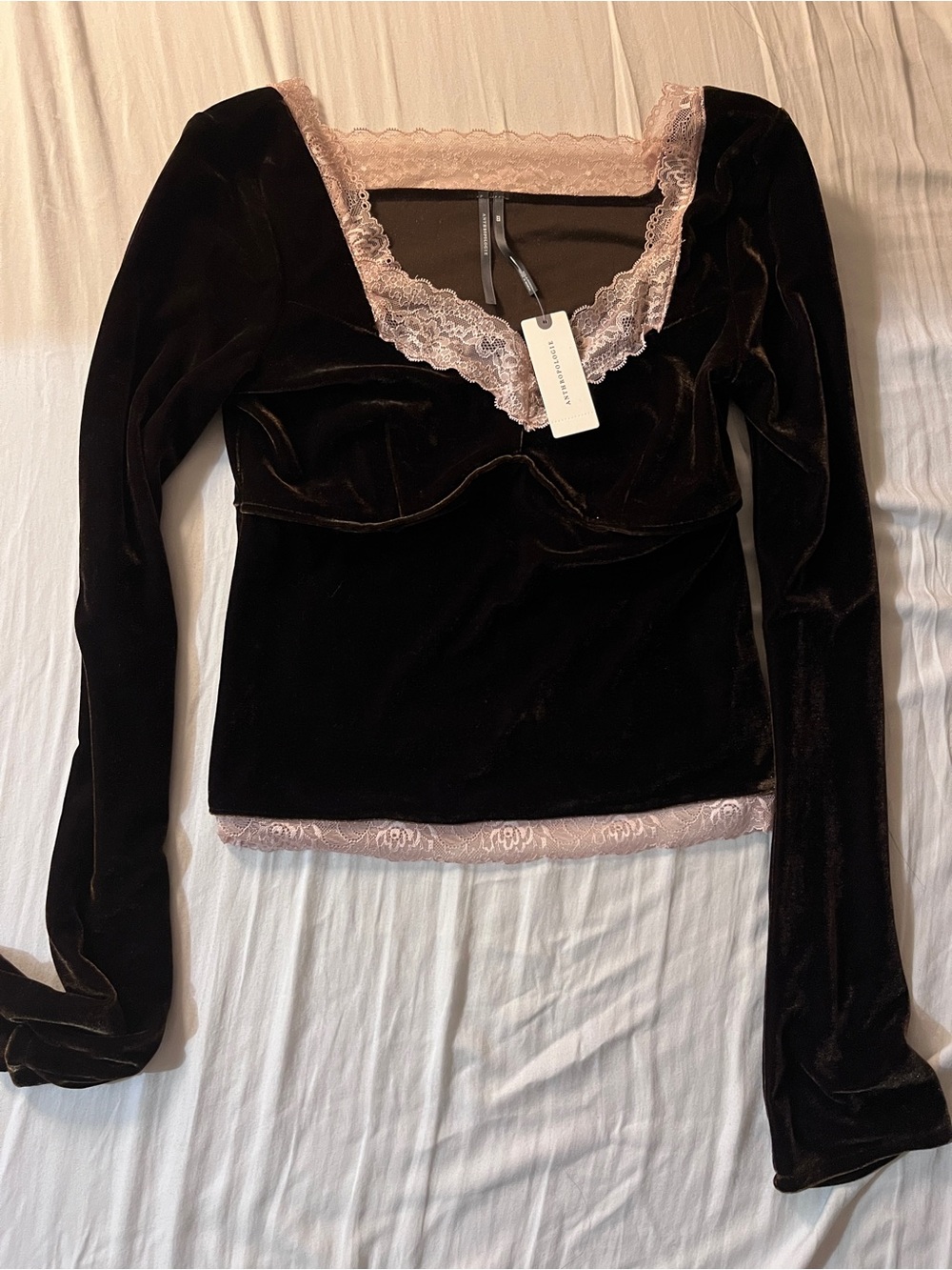 Anthropologie Velvet Long Sleeve Top with Blush Lace Trim